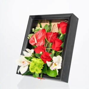 ايطار باشن احمر