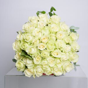 Classic White Roses