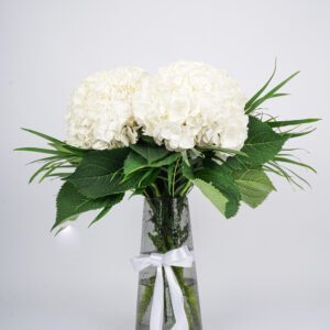 Hydrangea Vase