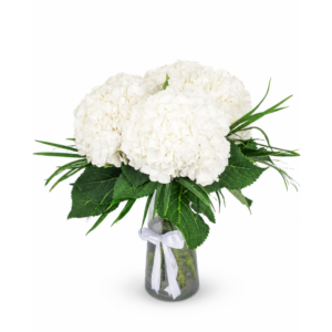 Hydrangea Vase