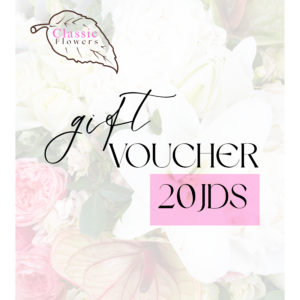 20JDS VOUCHER