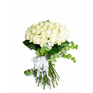 Classic White Roses