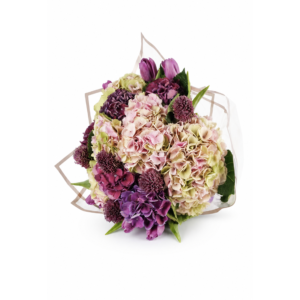 Hydrangea Bliss