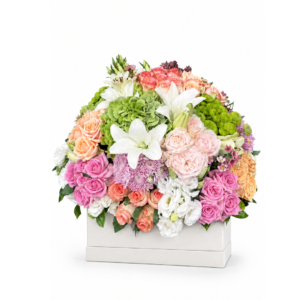 Pastel Elegance Box
